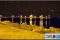 El Puerto de Málaga como un cuadro de Van Gogh